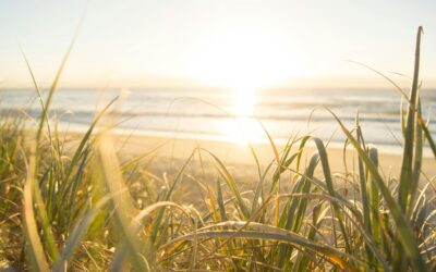 Terapia EMDR: skuteczna terapia traum